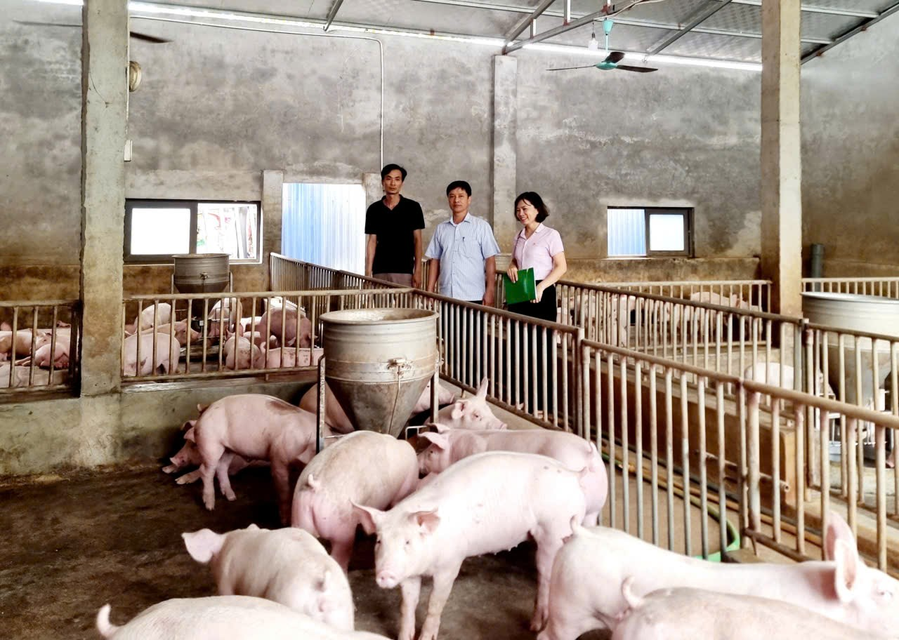 Giảm lãi suất cho vay một số chương trình tín dụng chính sách từ ngày 01/12/2025 đến ngày 31/12/2025